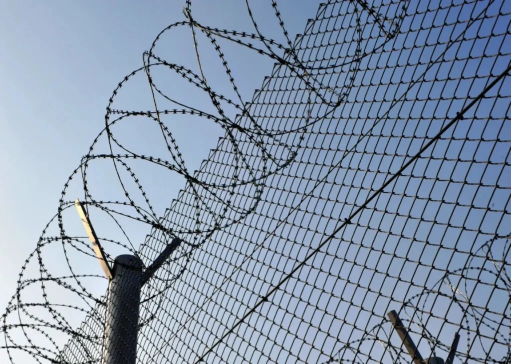 barbed wires