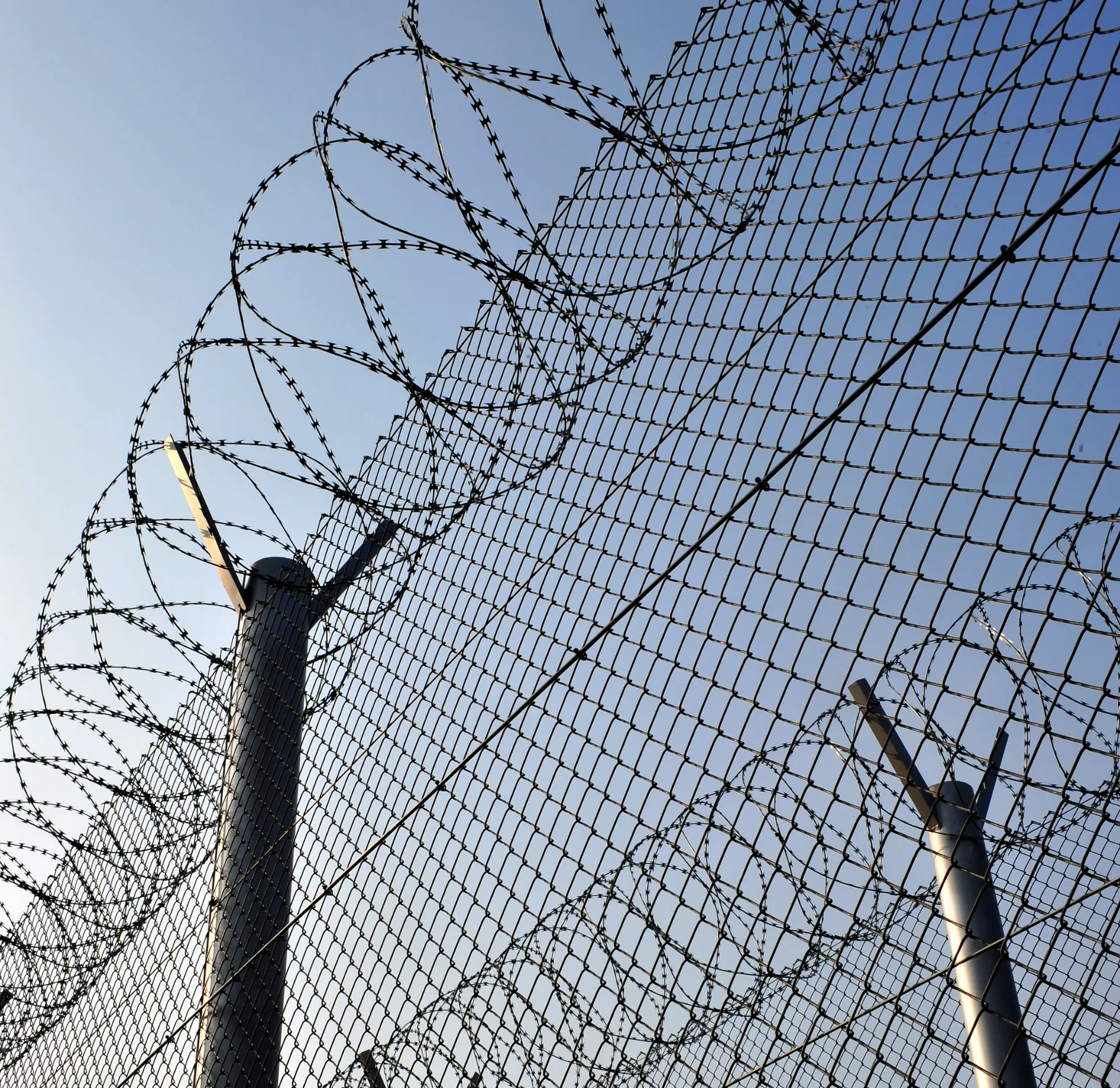 barbed wires
